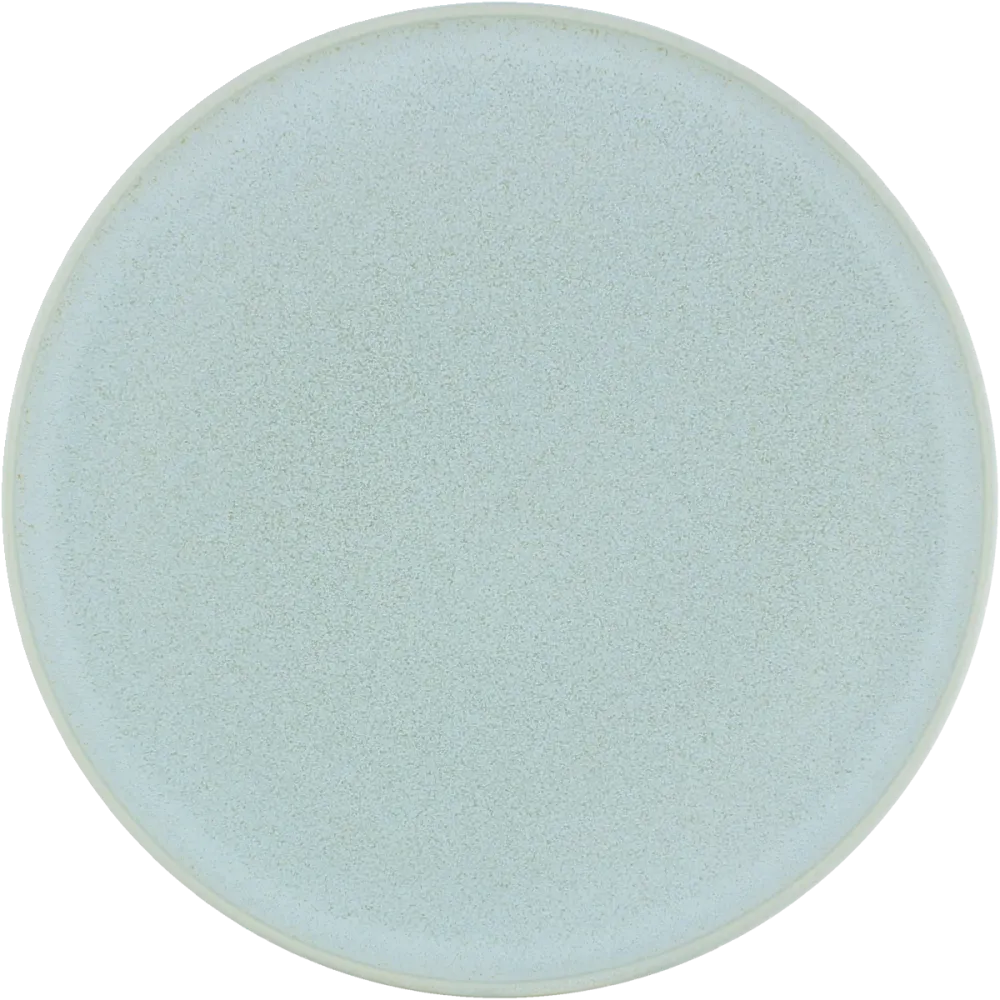Plate flat round coupe frost 21cm