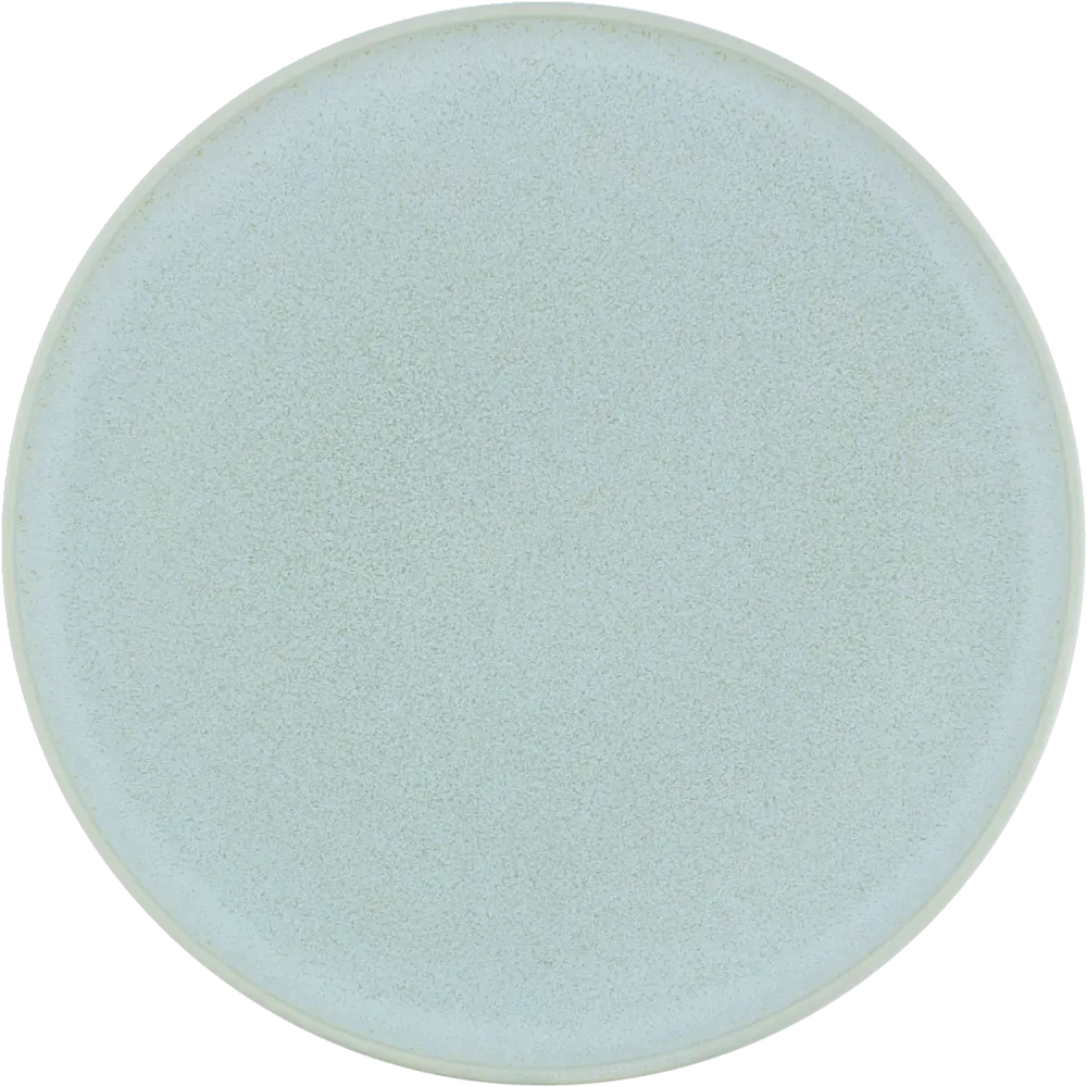 Plate flat round coupe frost 27cm