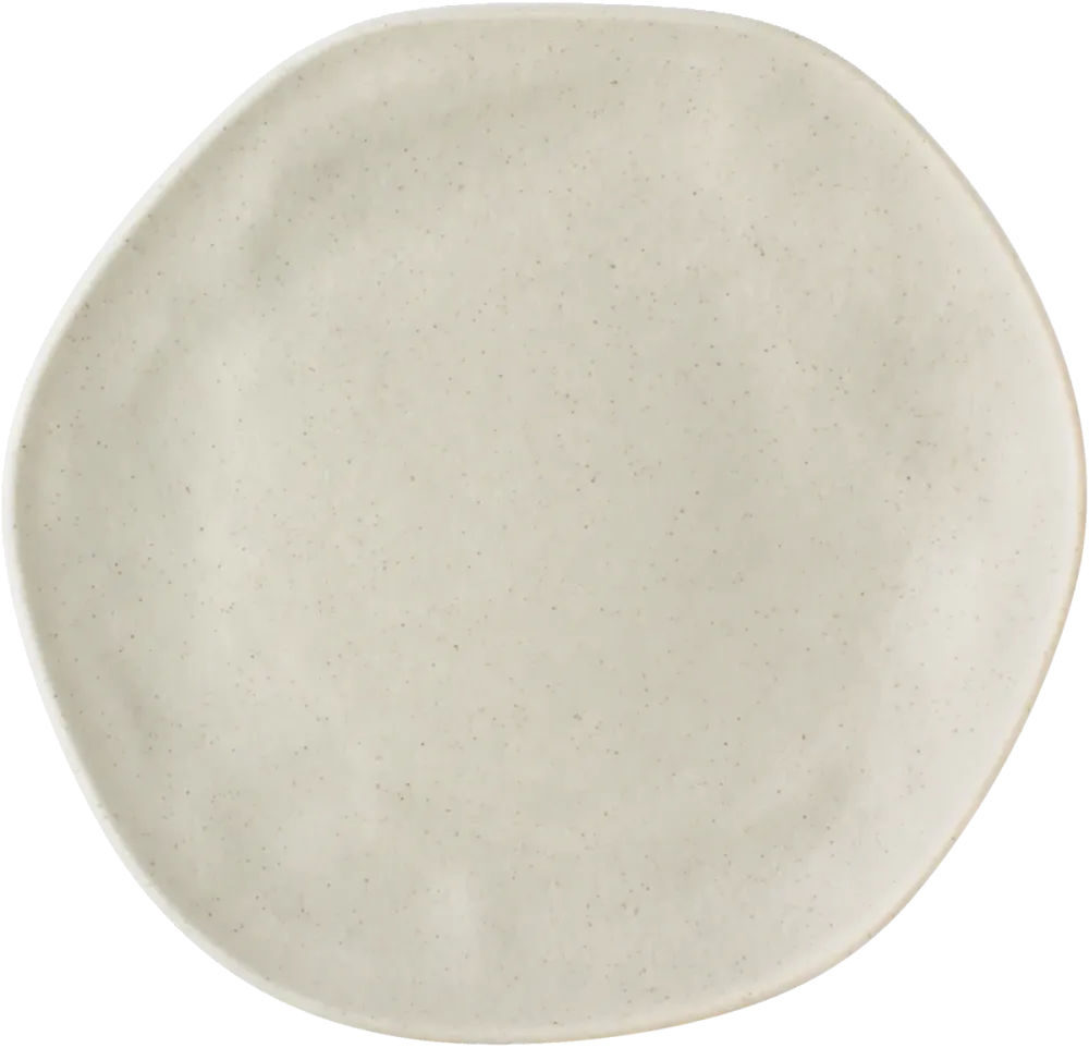 Plate flat round coupe moon 16cm