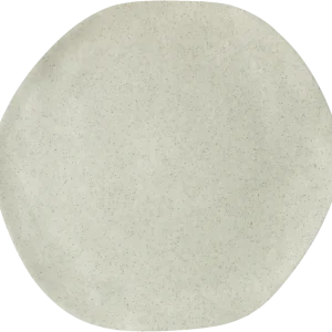 Plate flat round coupe moon 21cm
