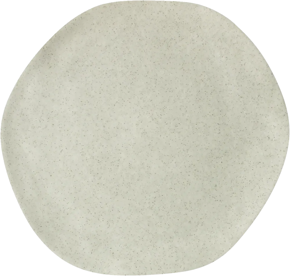 Plate flat round coupe moon 21cm