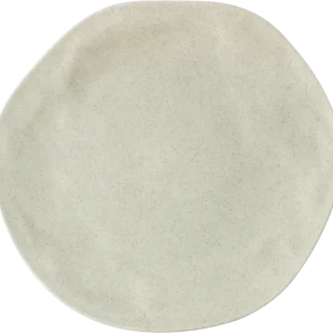 Plate flat round coupe moon 28cm