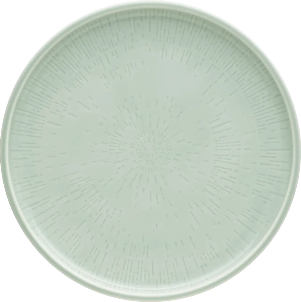 Plate flat round coupe structure FROST 24cm