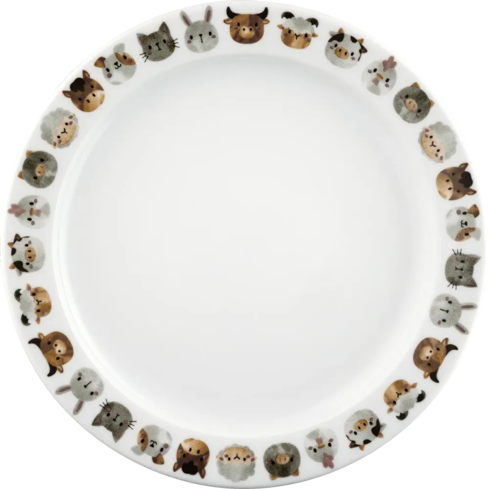 Plate flat round rim 24cm