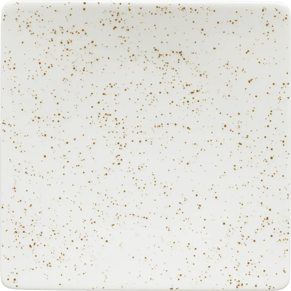 Plate half-deep square coupe 16cm