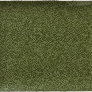 Platter rectangular coupe 27x20cm