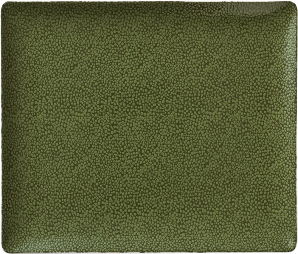Platter rectangular coupe 27x20cm