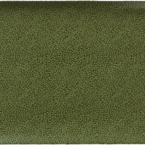 Platter rectangular coupe 34x20cm