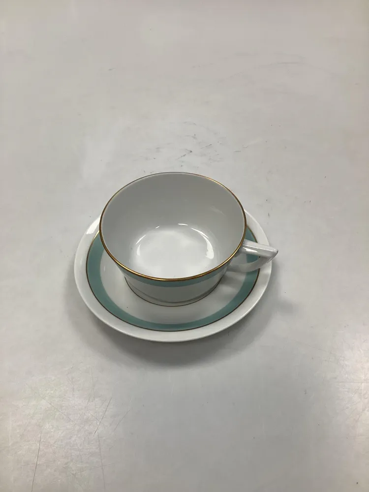Royal Copenhagen Dybbøl Tekop og underkop No 9536