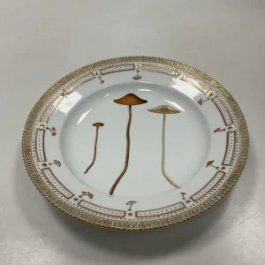 Royal Copenhagen Flora Danica Svampe / Fungi Spisetallerken No. 624
