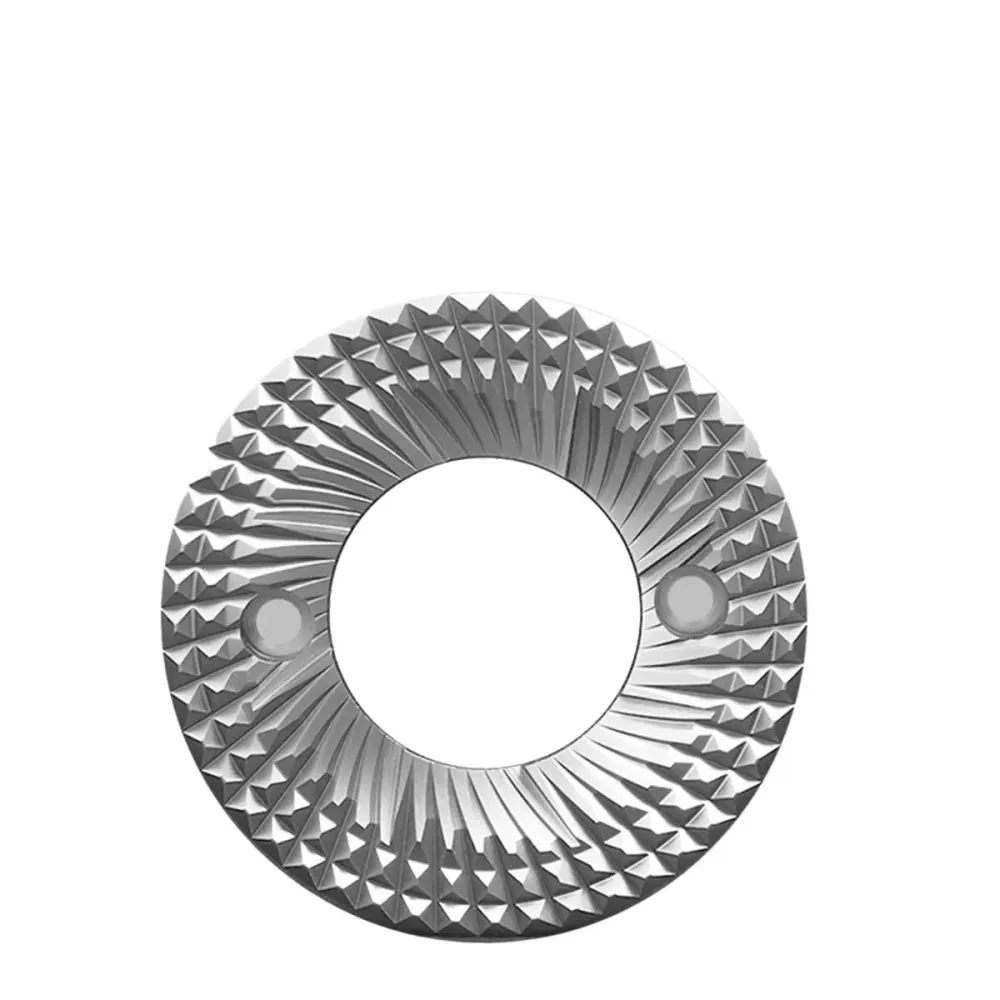 Sculptor Burrs 078