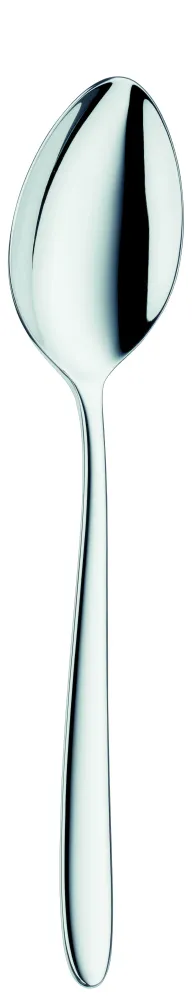 Table spoon ECCO 217mm