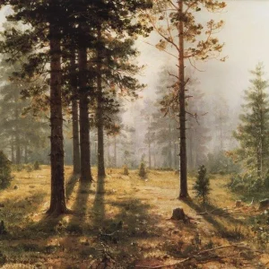 Basilika 100 g