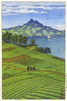 Spiskummin mald 100 g