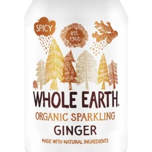 Läsk med ingefära smak, 330 ml