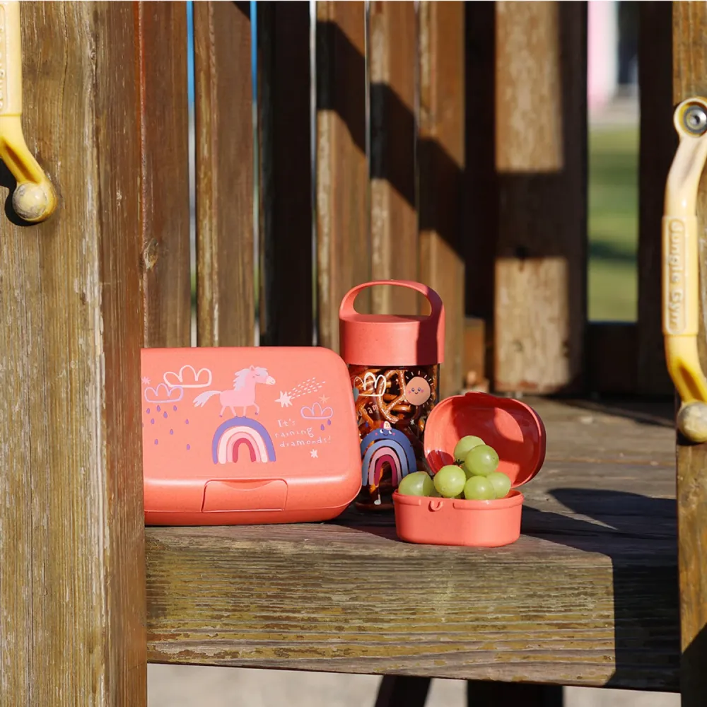 Koziol Miljövänlig Coral Red Lunch Box Med Separation Skål Candy L Dreams