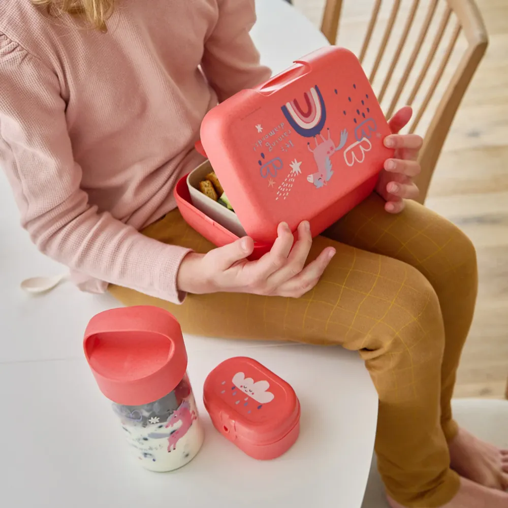 Koziol Miljövänlig Coral Red Lunch Box Med Separation Skål Candy L Dreams