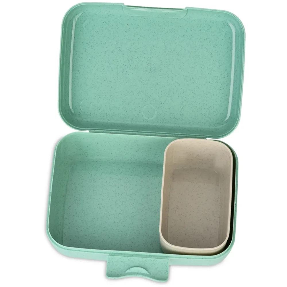 Koziol Miljövänlig Sage Green Lunch Box Med Separation Skål Candy L Rex