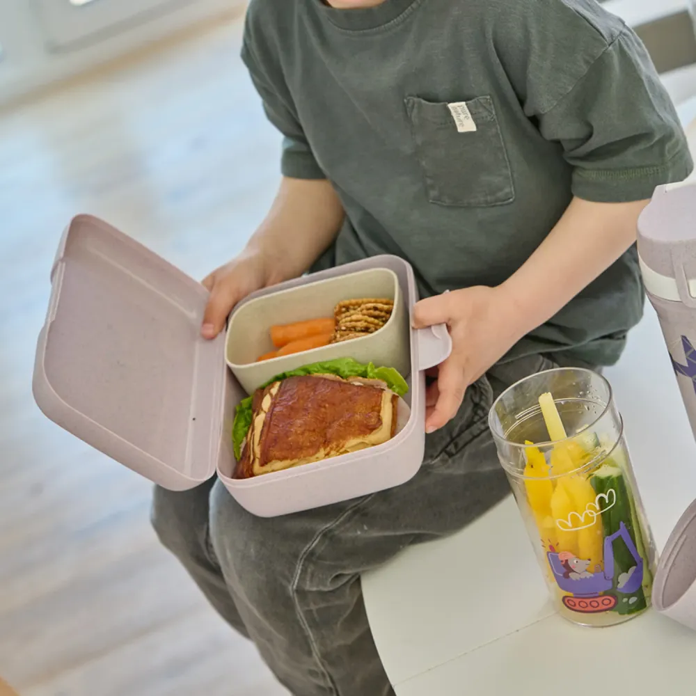 Koziol Organic Ametist Grey Lunch Box Med Separation Skål Candy L Trucks