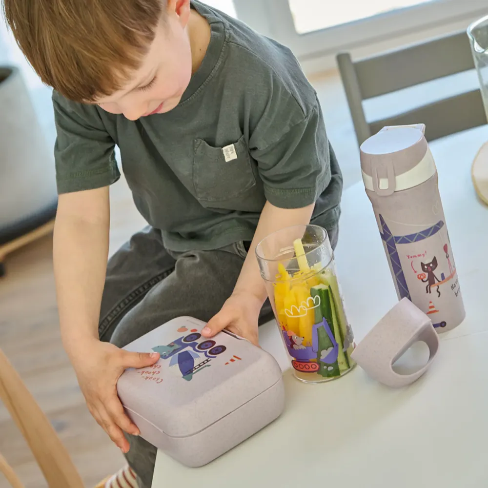 Koziol Organic Ametist Grey Lunch Box Med Separation Skål Candy L Trucks