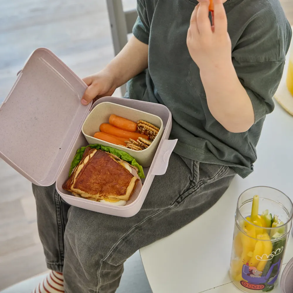 Koziol Organic Ametist Grey Lunch Box Med Separation Skål Candy L Trucks