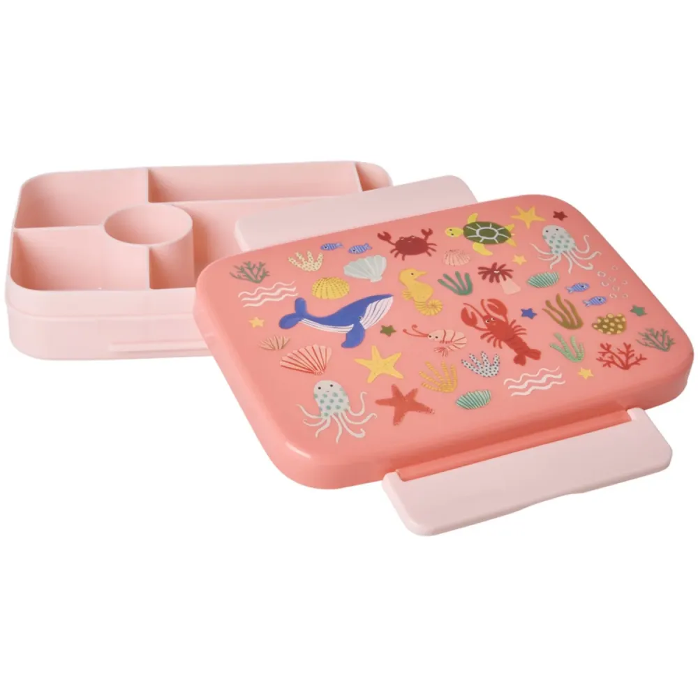 Rice Apricot Ocean Print Plastic Lunchbox 6 Rooms