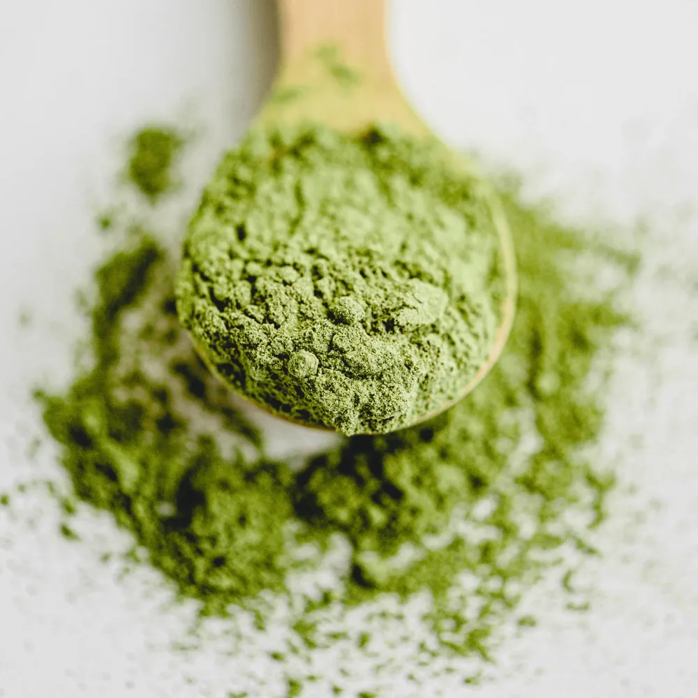 Matcha grönt te pulver ekologiskt ceremoniellt japanskt