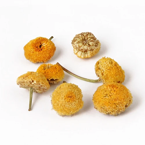 Chamomile