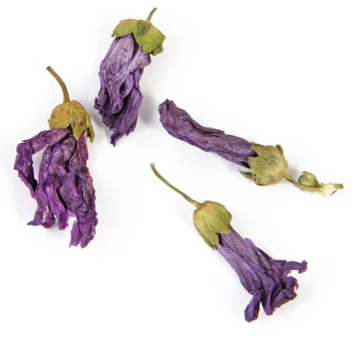 Malva Sylvestris