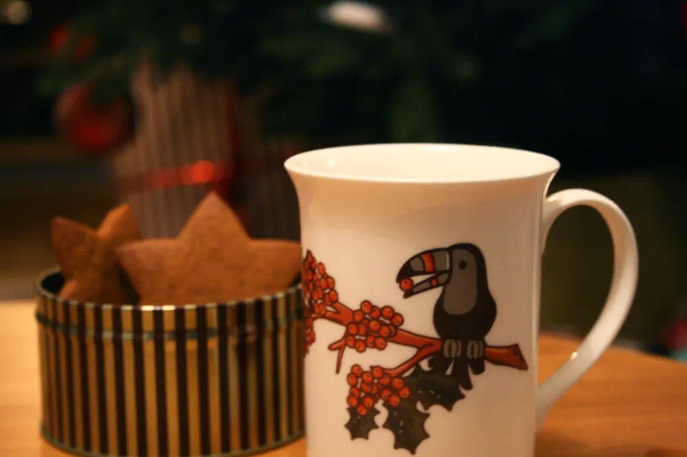 Kaffemugg Rönnbär Porslin Motiv 30cl