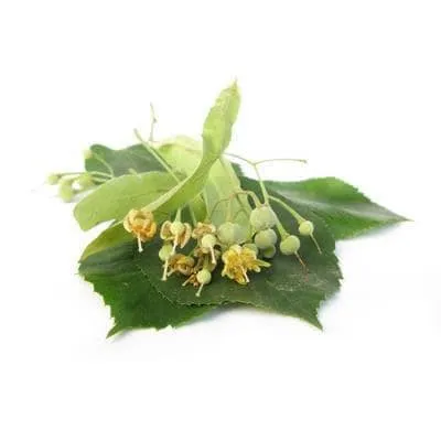 Linden blommor BIO - 15g