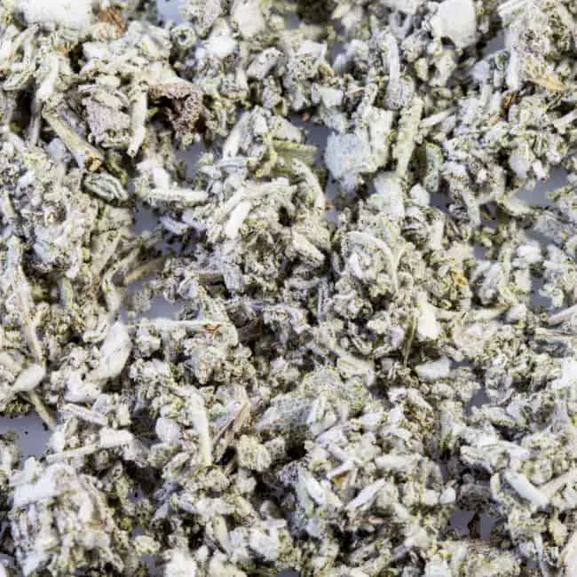Organic Salge Bio- 15g