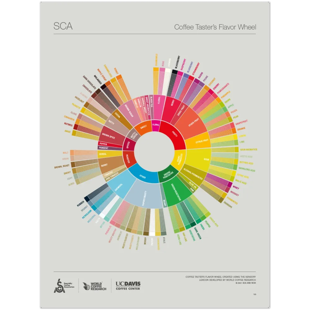 Engelska - Coffee Taster's Flavour Wheel Poster -SCA