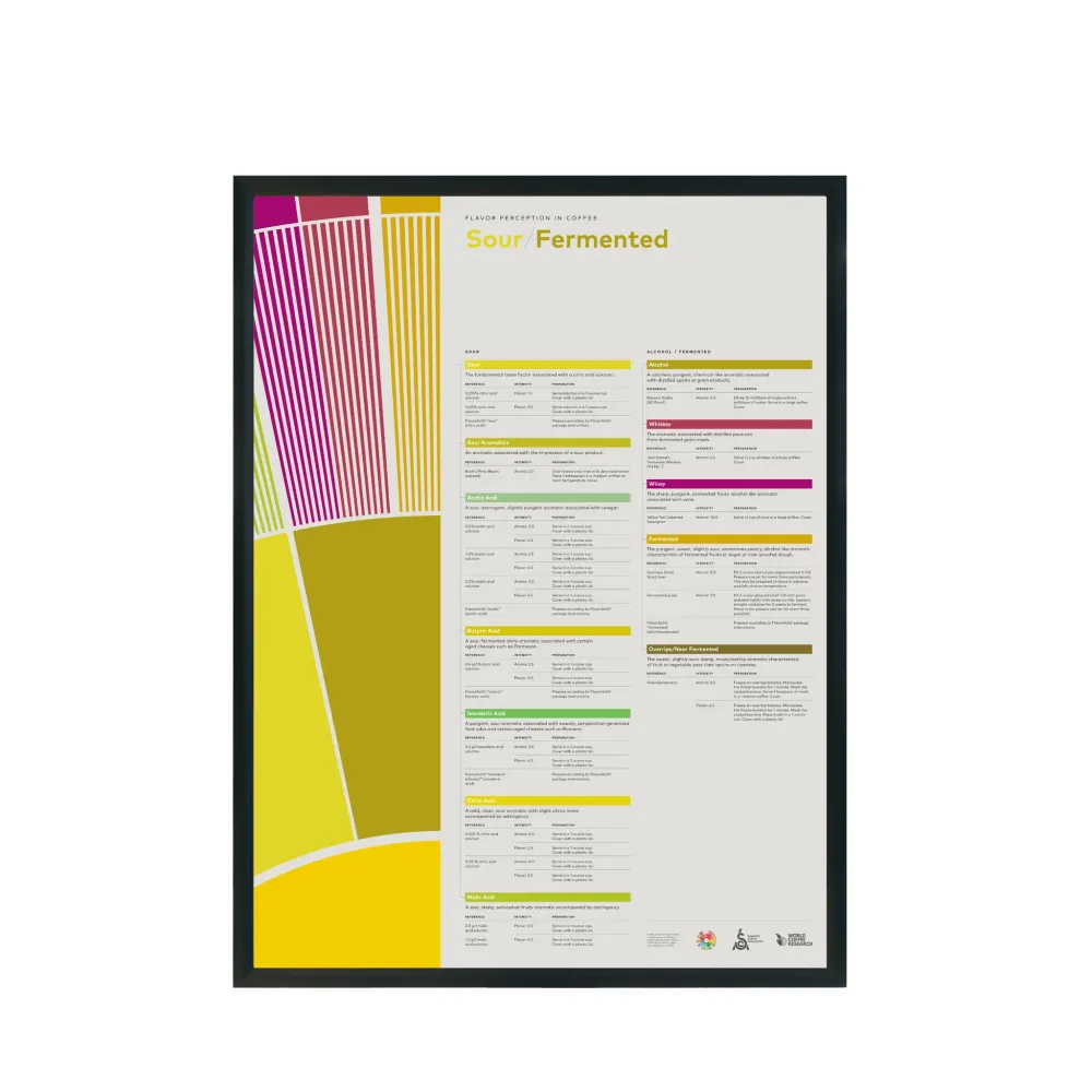 Flavor Perception Coffee Poster – Sour Fermented- SCA