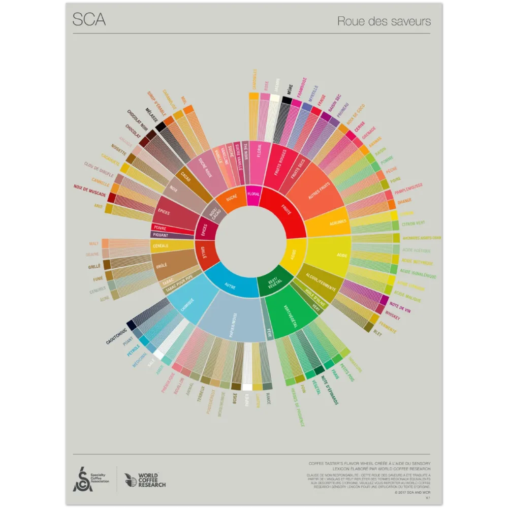 Franska - Coffee Taster's Flavour Wheel Poster -SCA