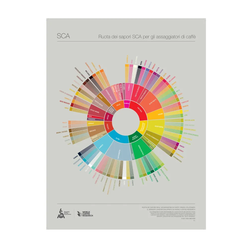 Italiensk - Coffee Taster's Flavour Wheel Poster - SCA