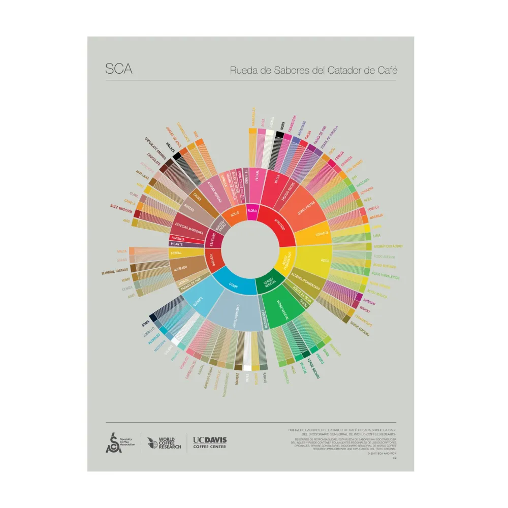 Spanska - Coffee Taster's Flavour Wheel Poster -SCA