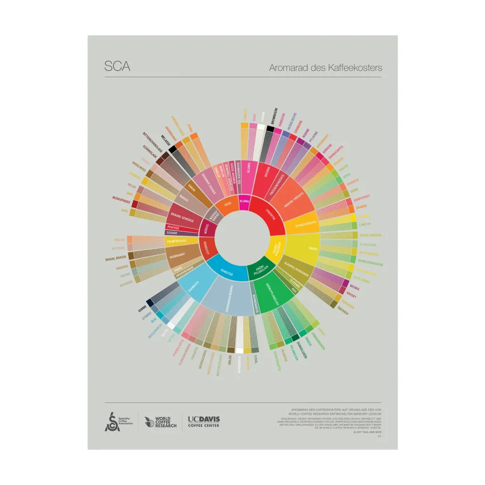 Tyska - Coffee Taster's Flavour Wheel Poster - SCA