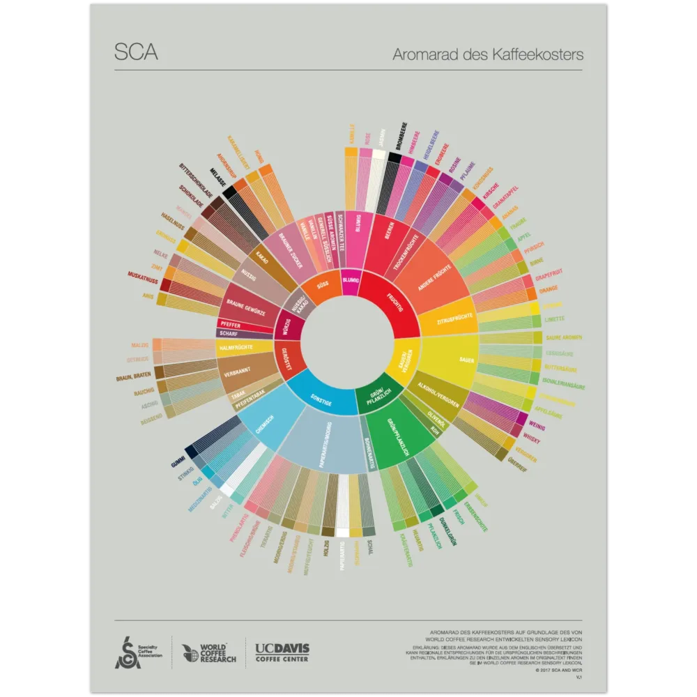 Tyska - Coffee Taster's Flavour Wheel Poster - SCA