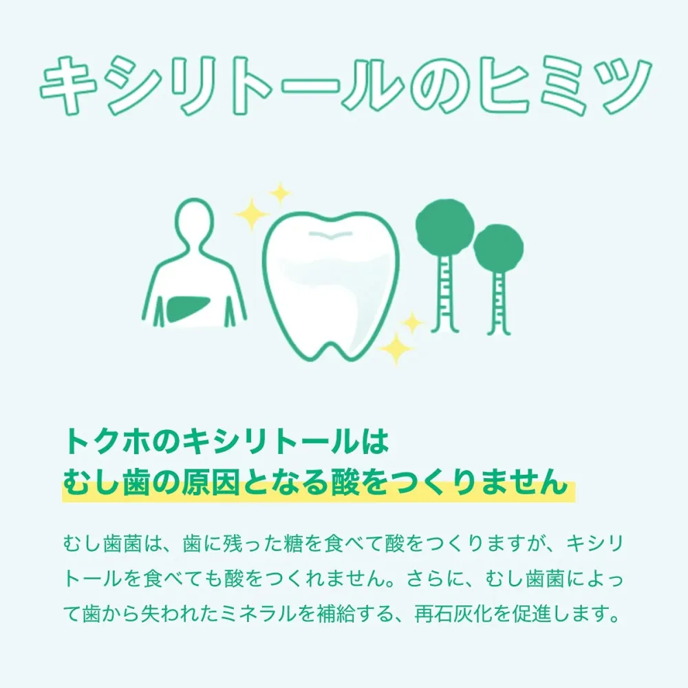 LOTTE XYLITOL Tuggummi Fresh Mint Familjeflaska 143g