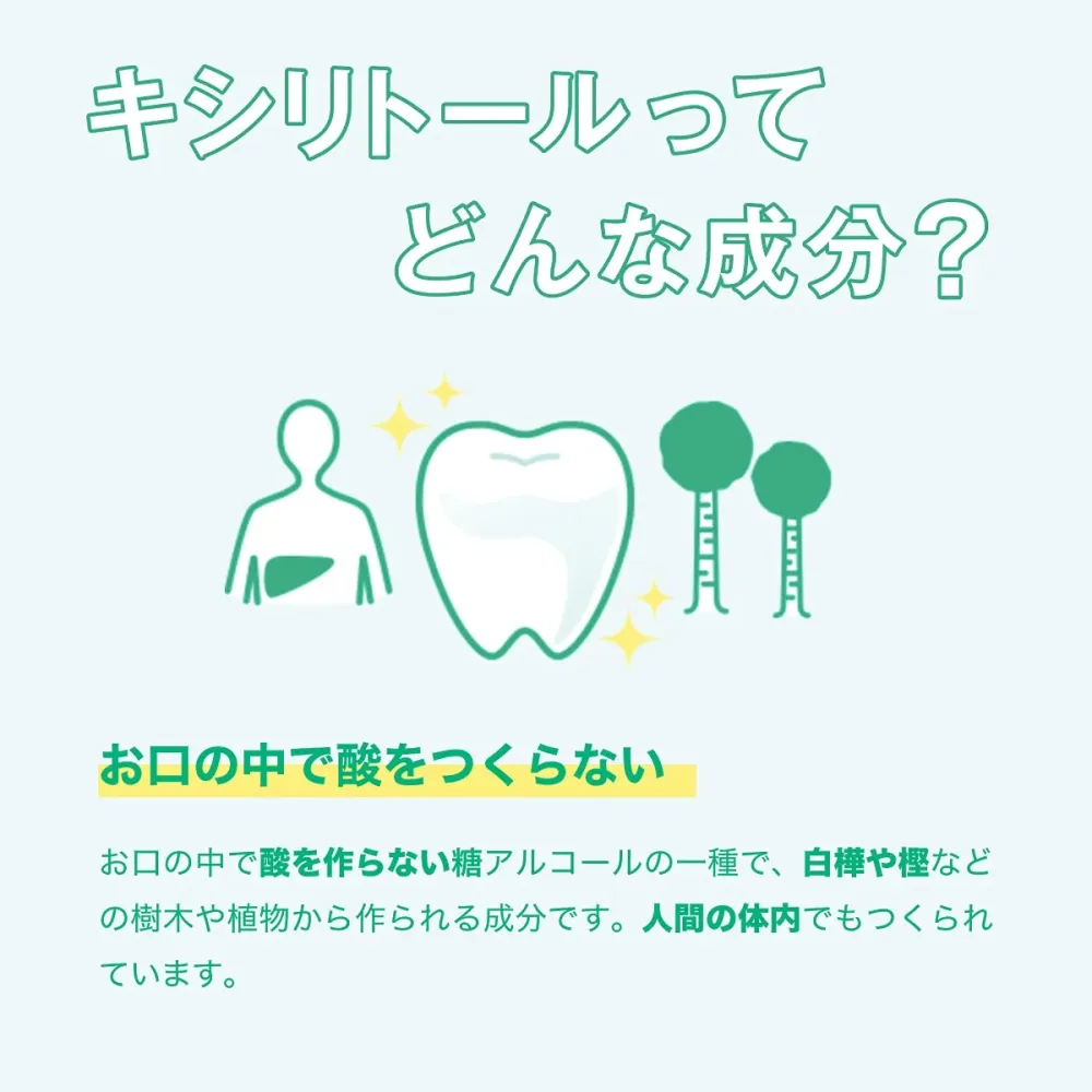 LOTTE XYLITOL Tuggummi Fresh Mint Familjeflaska 143g