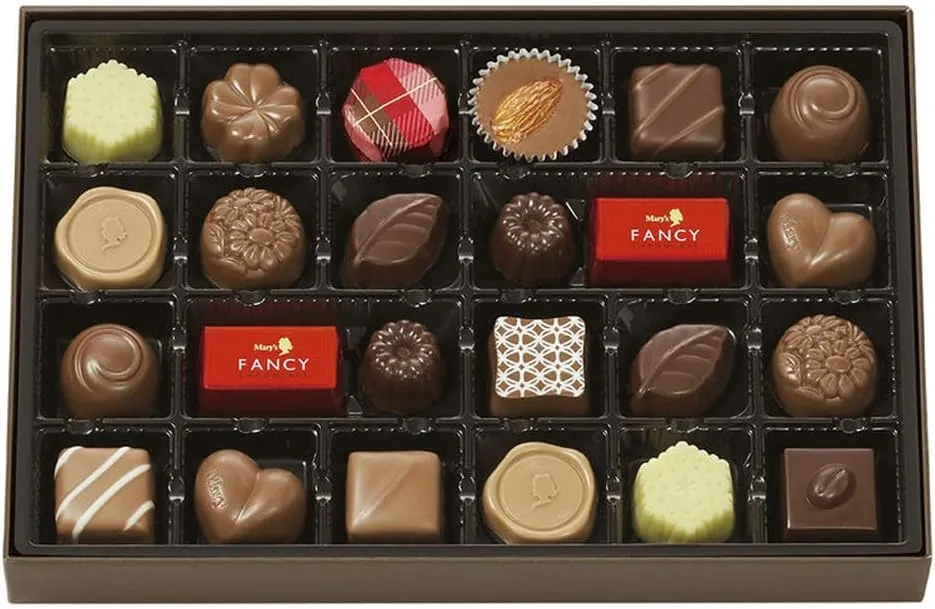 Merry Choklad Fancy Choklad 24 Stk FC-I