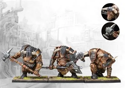 Conquest - City States: Minotaur Thyreans - 12 Piece Set