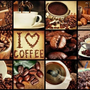 Fototapet - Coffee - Collage Artisan Series 350x256