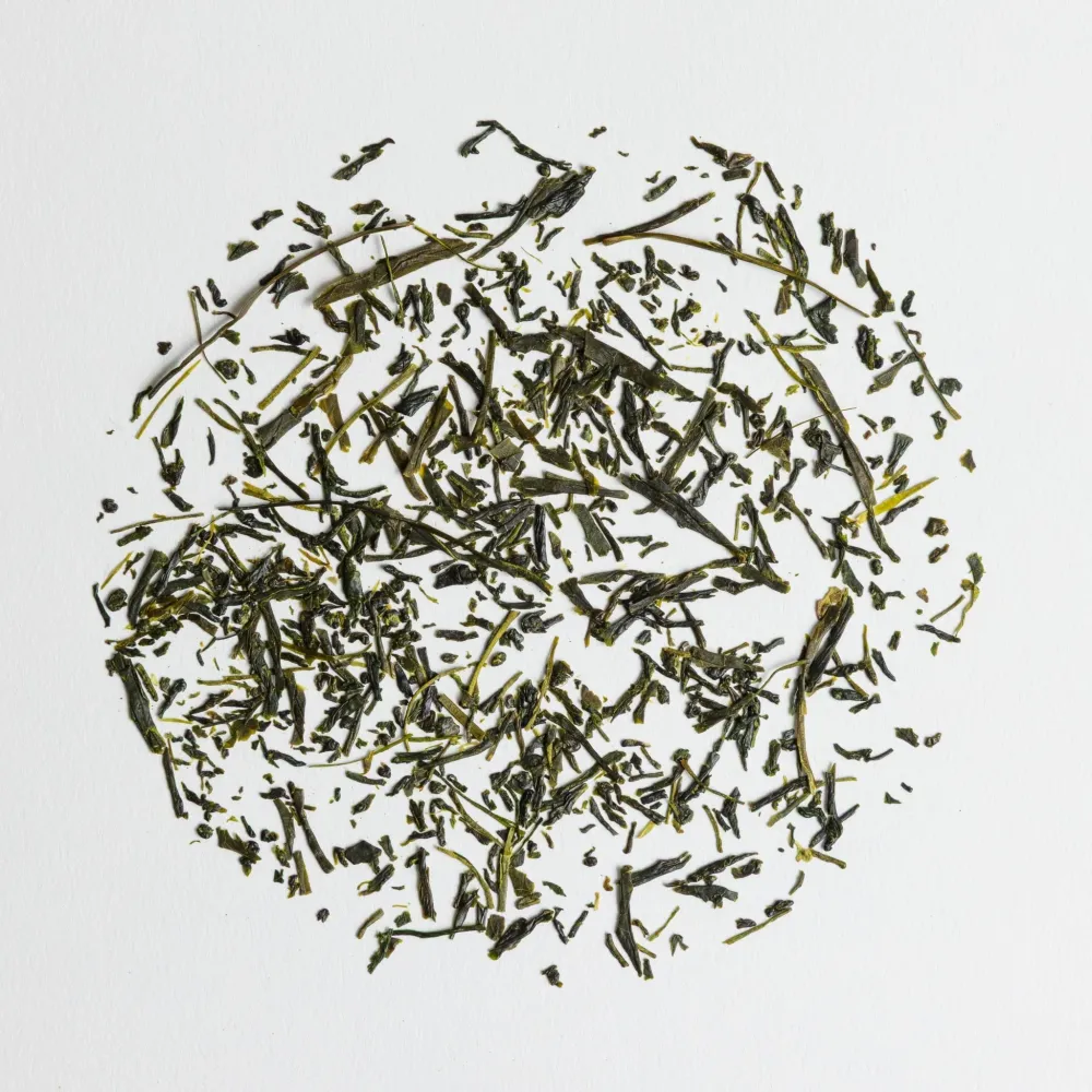 Sencha H2O