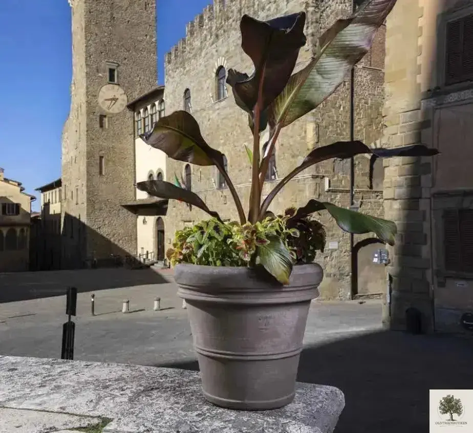 Kruka Terrakotta Grå - Toscana - 60 cm diameter - 50 cm höjd