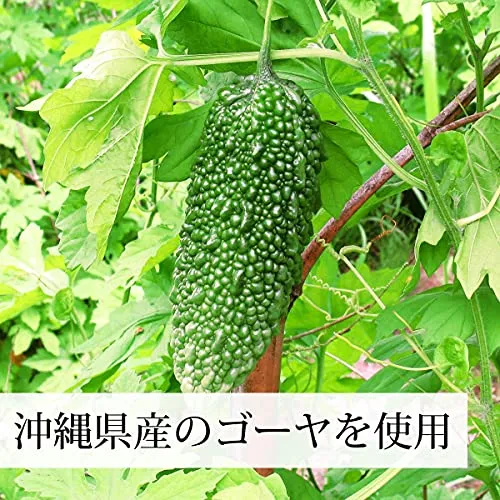Bitter Melon Te Pulver 100g × 10 Påsar Aluminiumförpackning