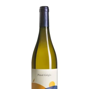 Pinot Grigio - Villa Dugo