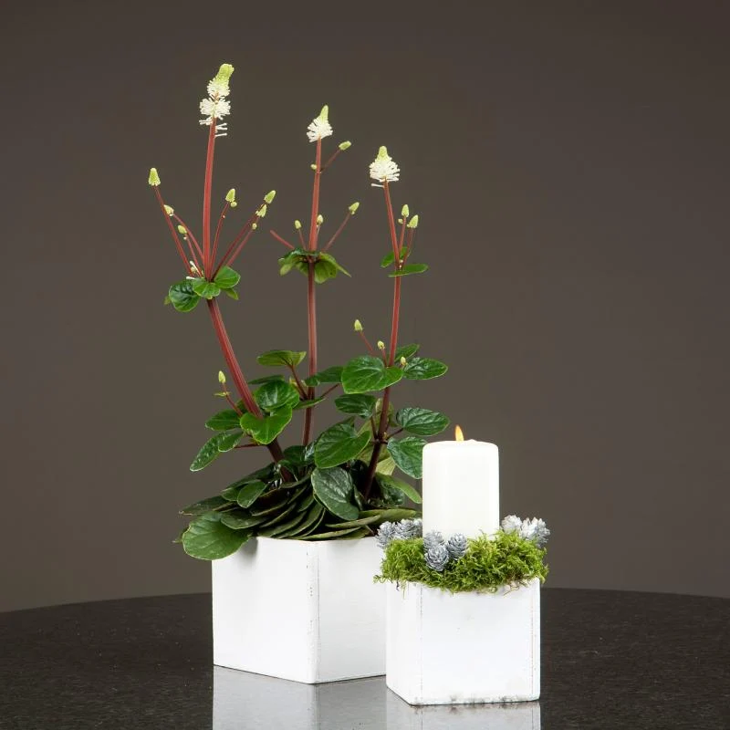 Blomkruka Antikvit pair-set