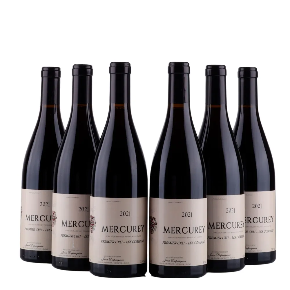 Mercurey - Premier Cru - Les Combins - Jean Dupasquier - 2021